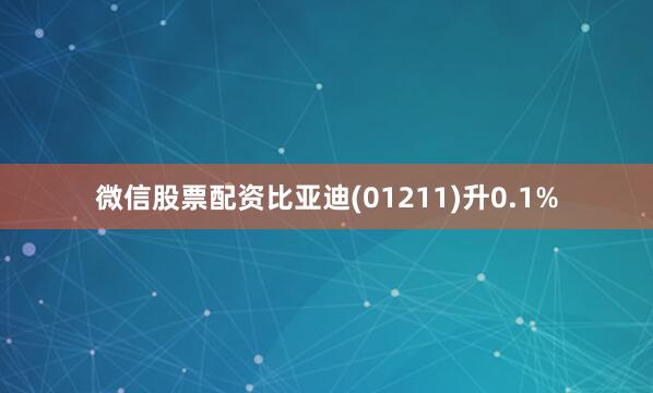 微信股票配资比亚迪(01211)升0.1%