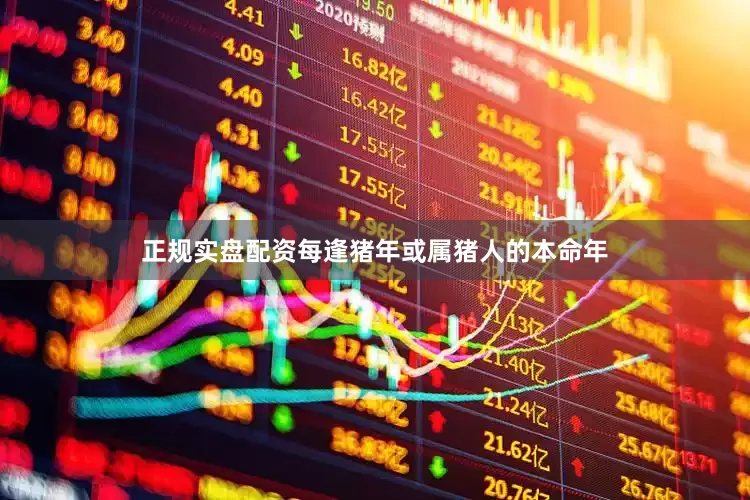 正规实盘配资每逢猪年或属猪人的本命年