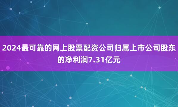 2024最可靠的网上股票配资公司归属上市公司股东的净利润7.31亿元