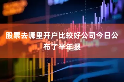 股票去哪里开户比较好公司今日公布了半年报